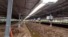Dự Án Điện mặt trời Nông Nghiệp