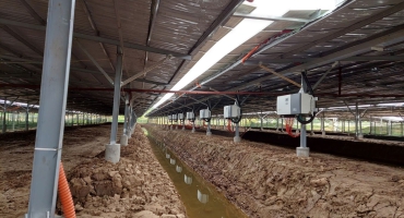 Dự Án Điện mặt trời Nông Nghiệp